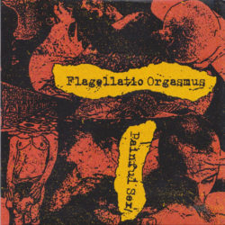 FLAGELLATIO ORGASMUS - Painful Sex CD
